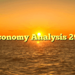 Economy Analysis 297