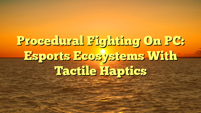 Procedural Fighting On PC: Esports Ecosystems With Tactile Haptics
