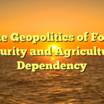 The Geopolitics of Food Security and Agricultural Dependency